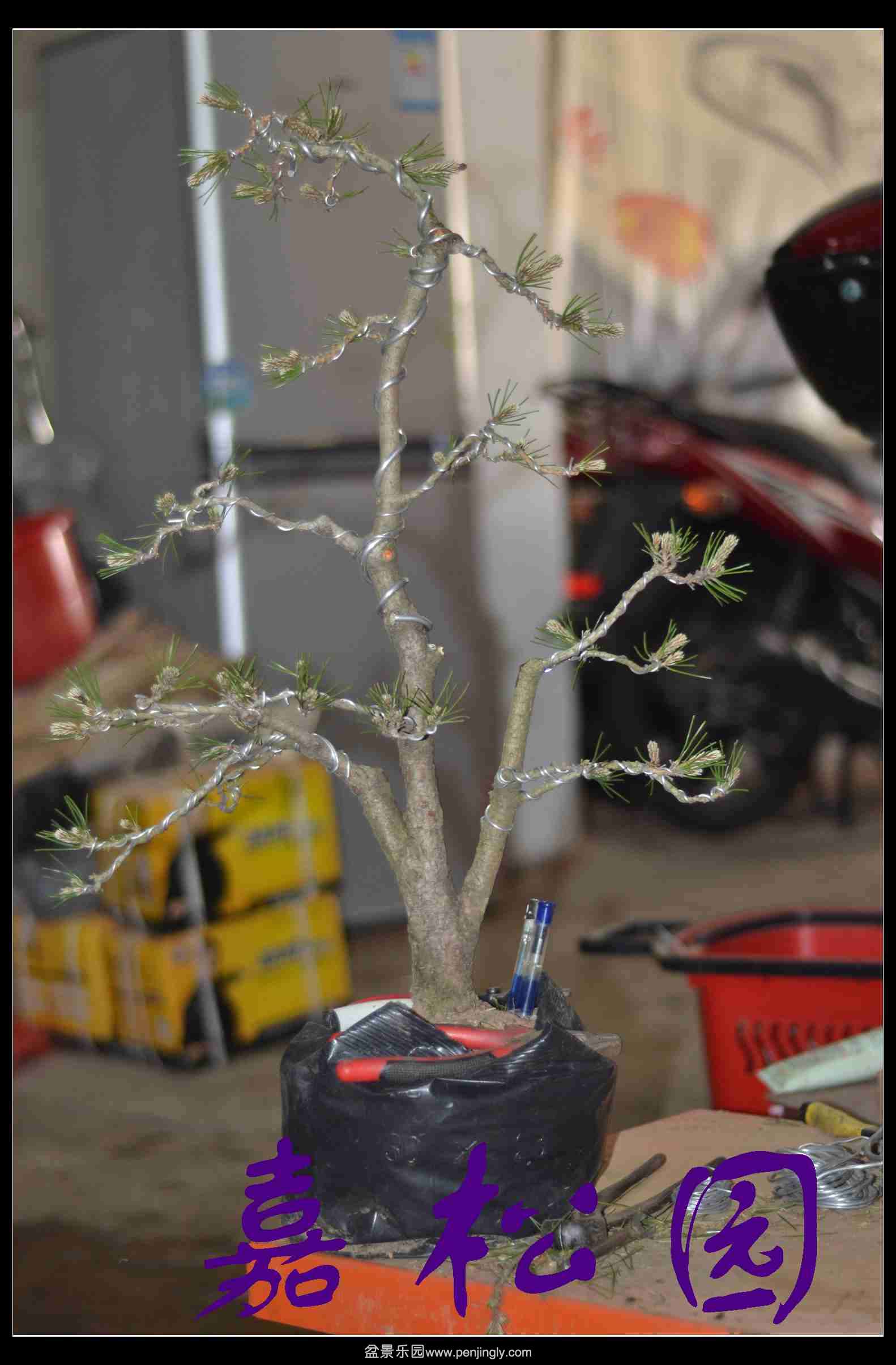20140520 014.JPG