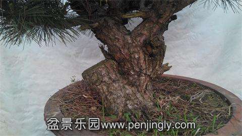IMG_20140511_182527.jpg