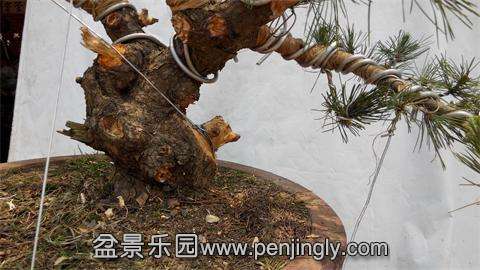 IMG_20140520_113937.jpg