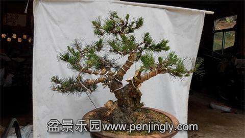 IMG_20140520_114005.jpg