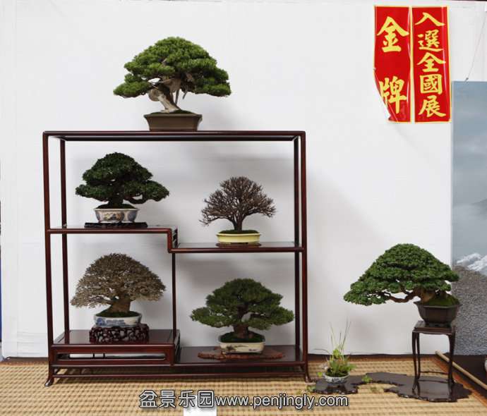 75c755e0gad49da6a5772&amp;690&amp;690.jpg