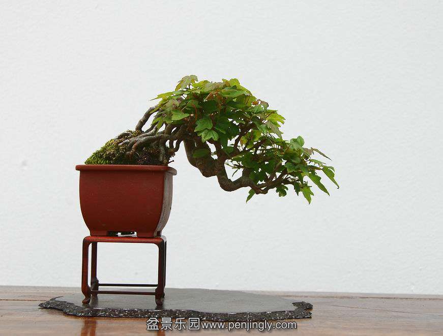 Ƭ 095.jpg