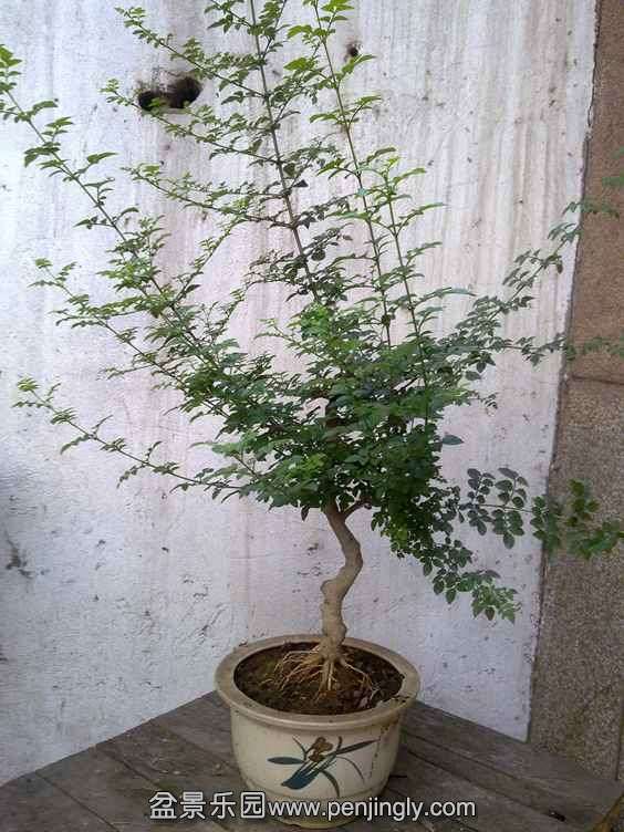 201405213555_.jpg