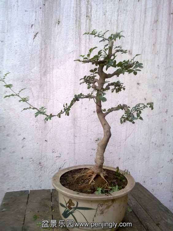 201405213557_.jpg