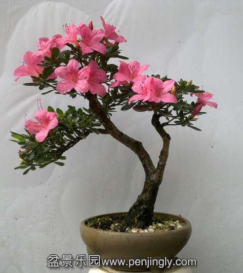 201405222896.jpg