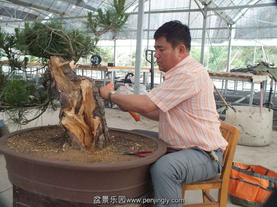 ⼪辰145 024.jpg