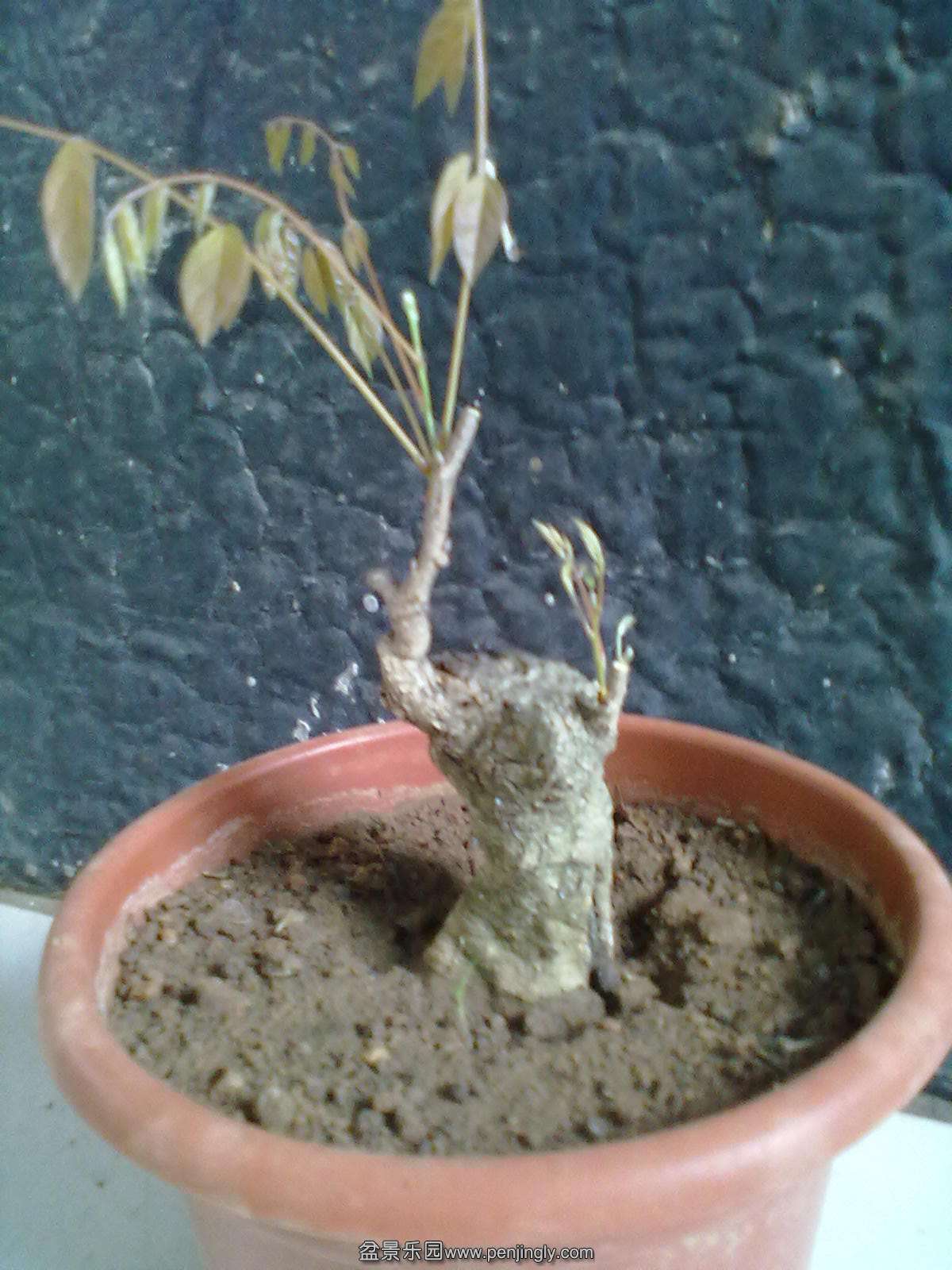 201405241303.jpg