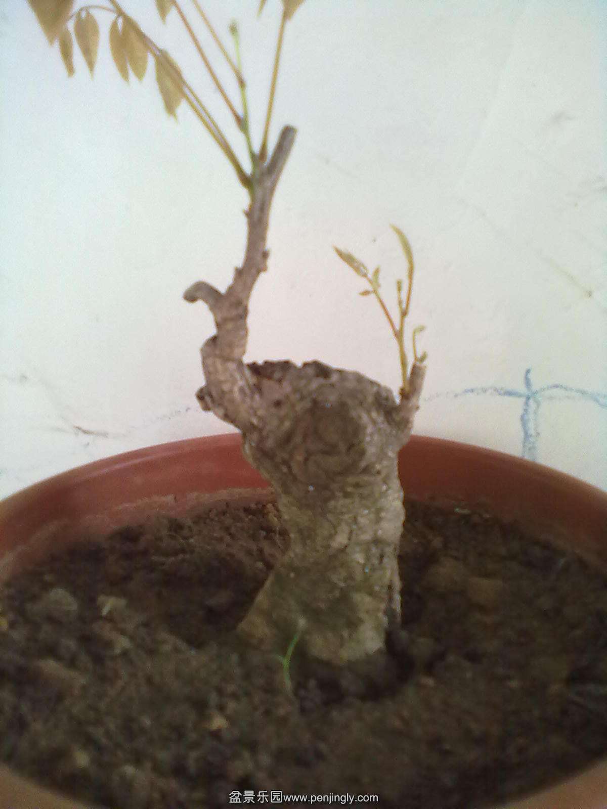 201405241304.jpg