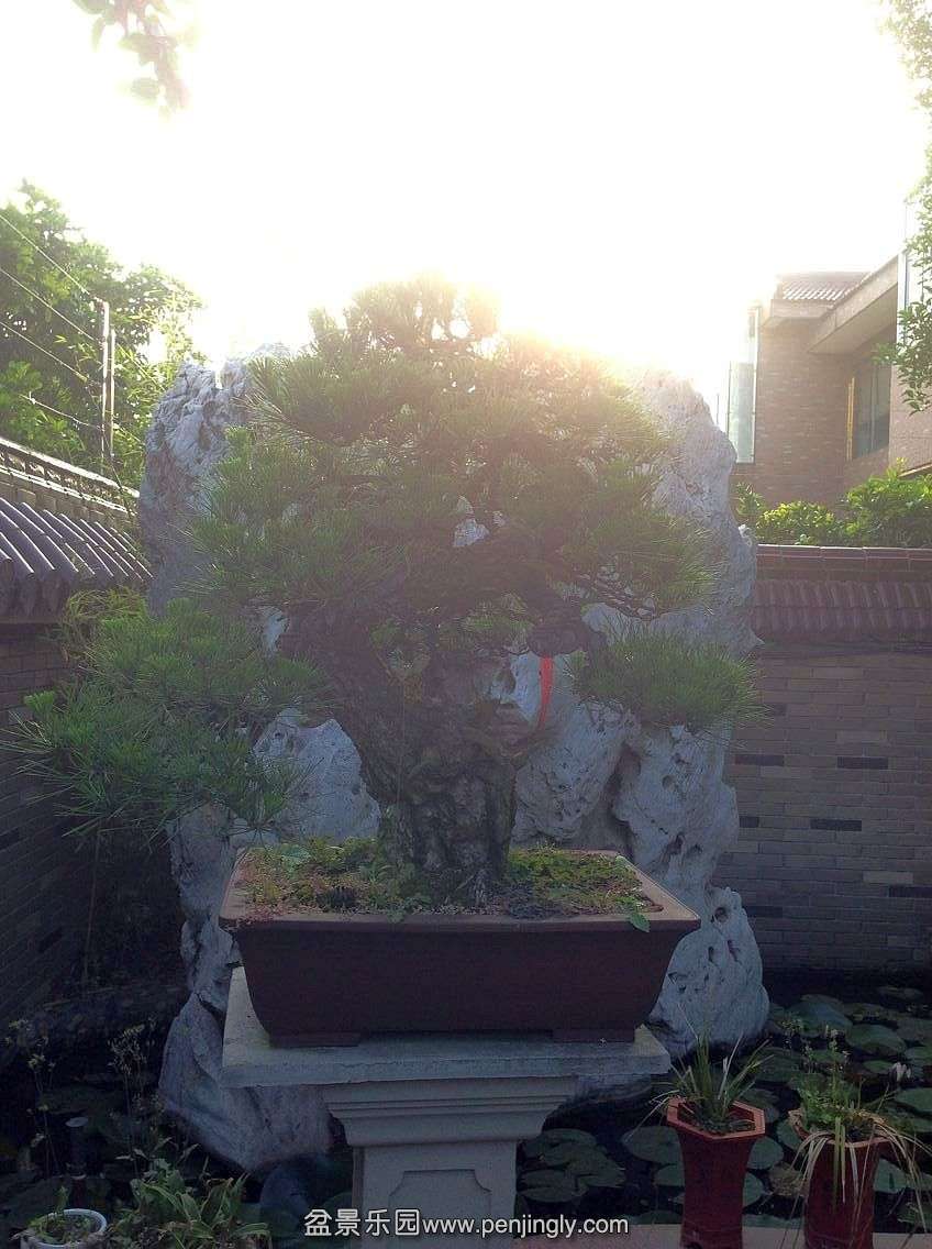  (1).jpg