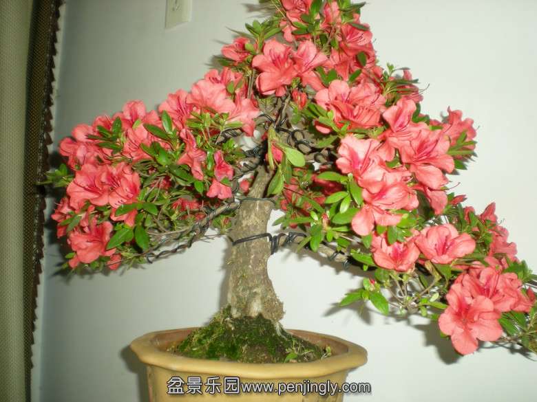 DSCN2751_.jpg