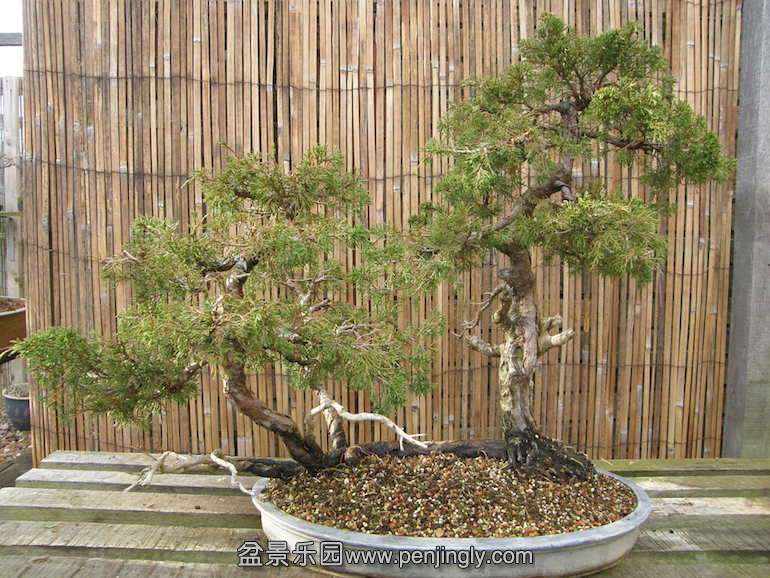 No-17-Juniper-Raft.jpg