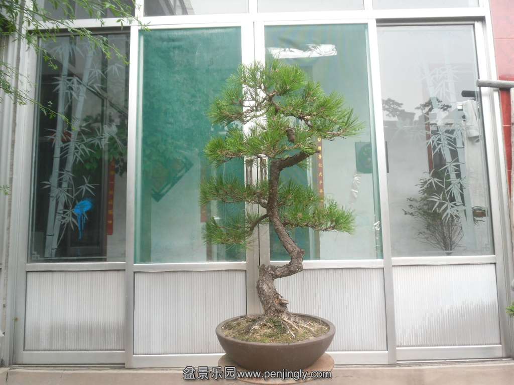 SAM_1309.JPG