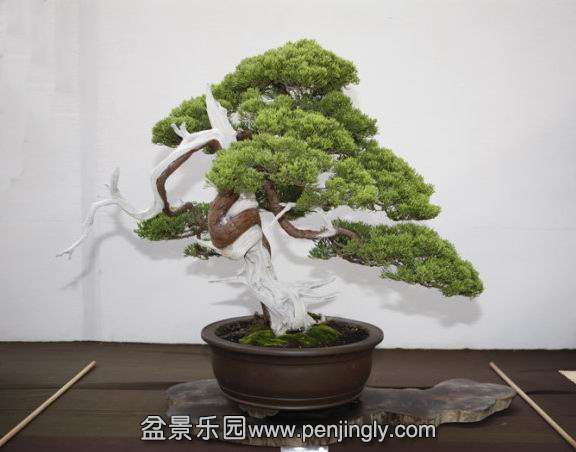 75c755e0gad42fc288490&amp;690&amp;690.jpg