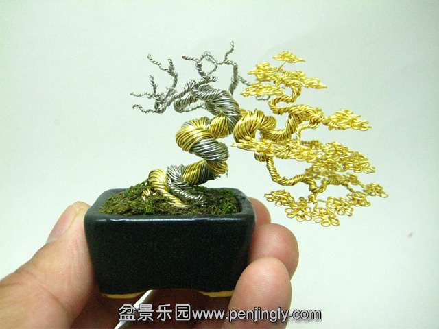 bonsai-1.jpg