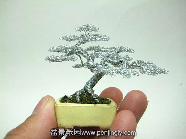 bonsai-3.jpg