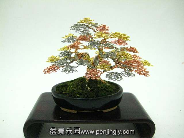 bonsai-4.jpg