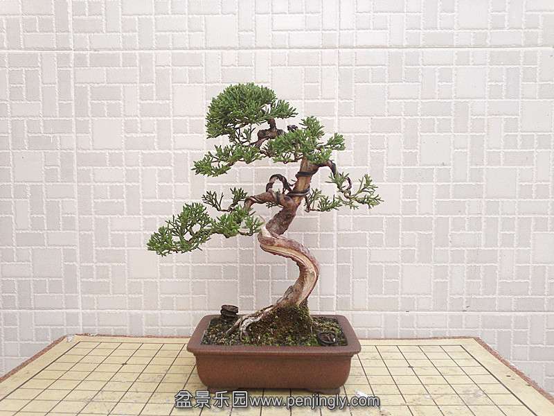 201405261147_.jpg