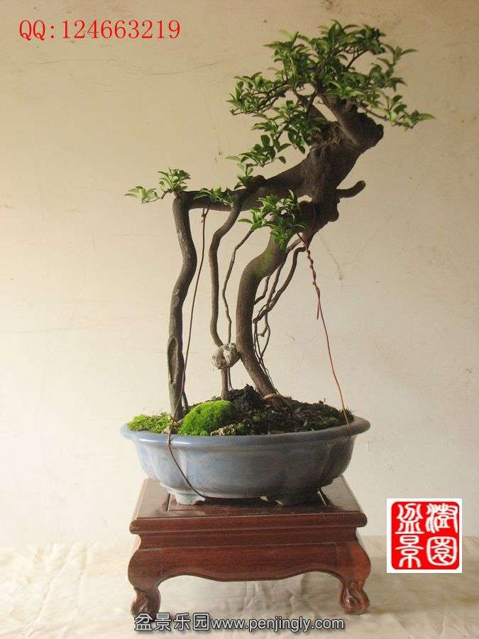 IMG_1275_副本.jpg