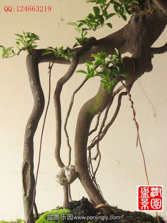 IMG_1276_副本.jpg