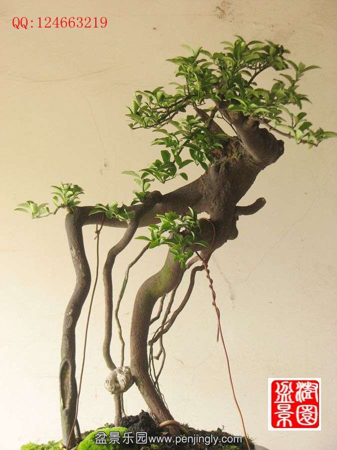 IMG_1277_副本.jpg