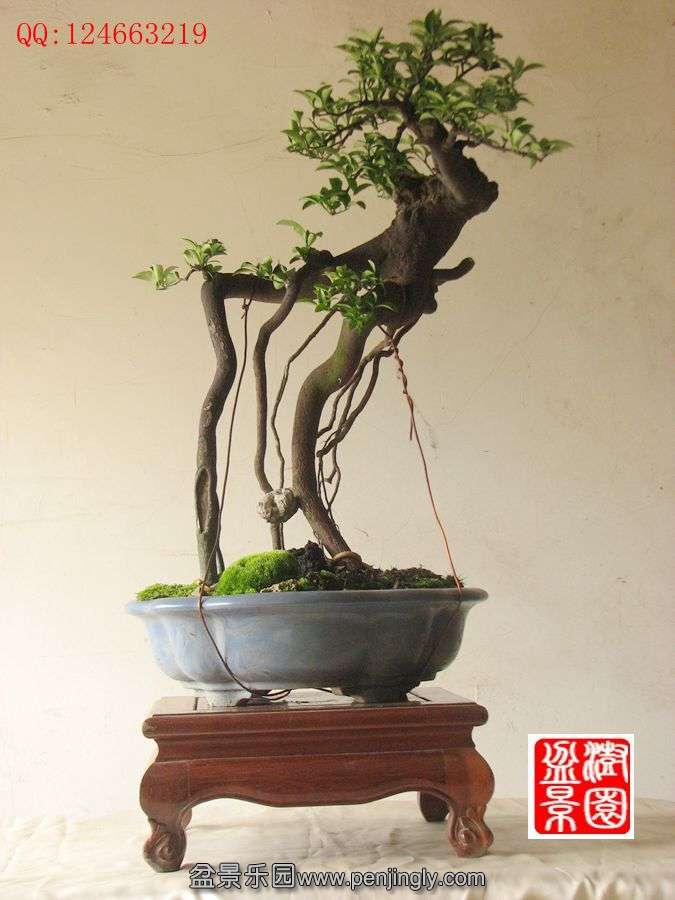IMG_1278_副本.jpg