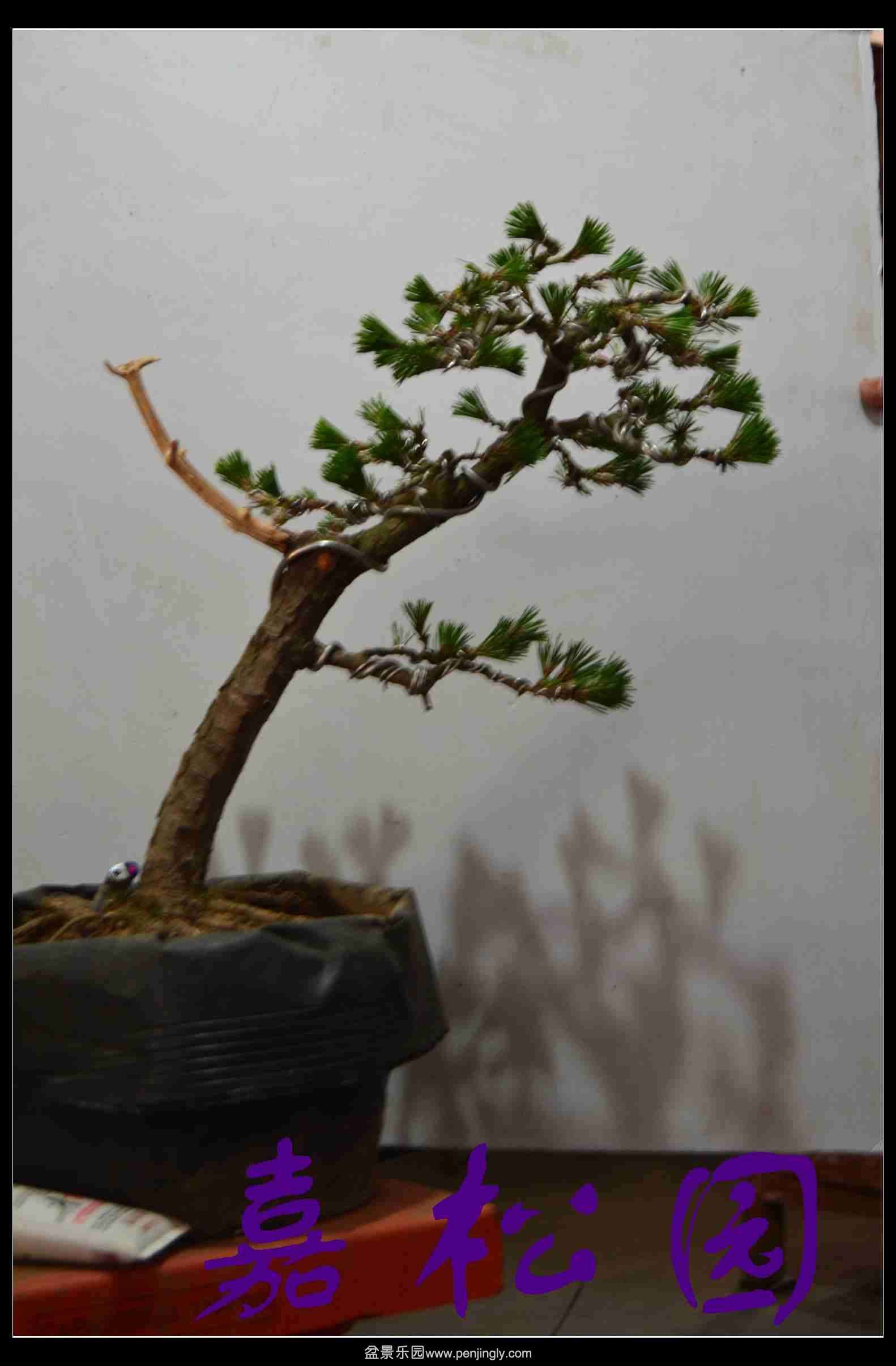 20140227 002.JPG