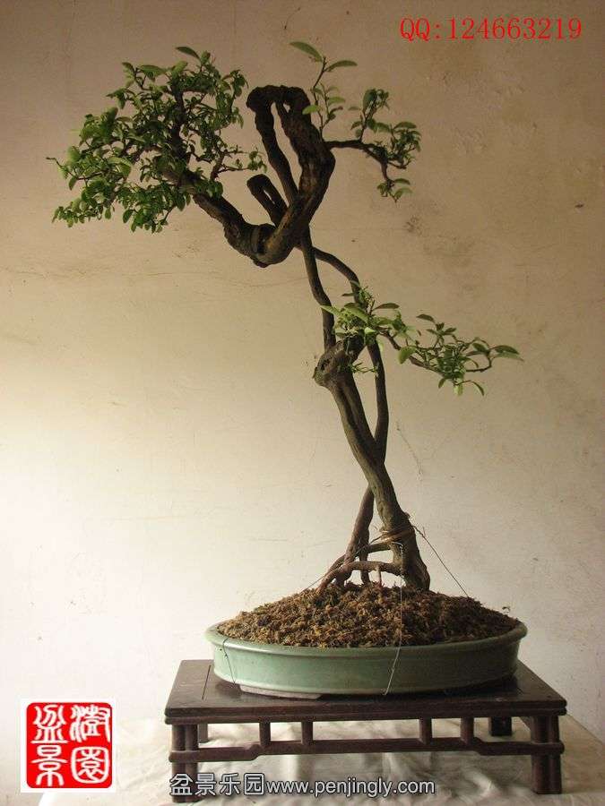 IMG_1340_副本.jpg
