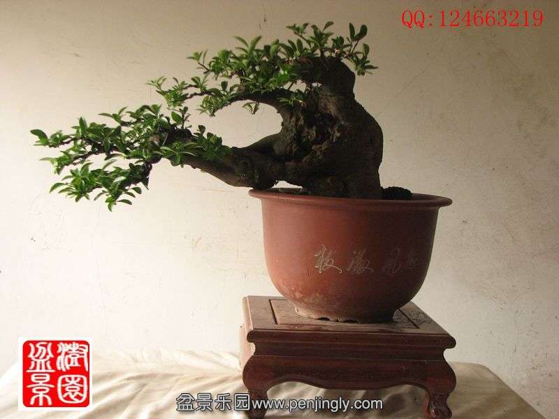 IMG_1394_副本.jpg