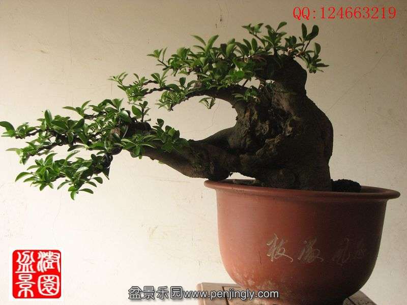 IMG_1395_副本.jpg