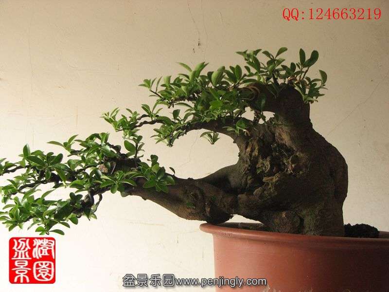 IMG_1398_副本.jpg