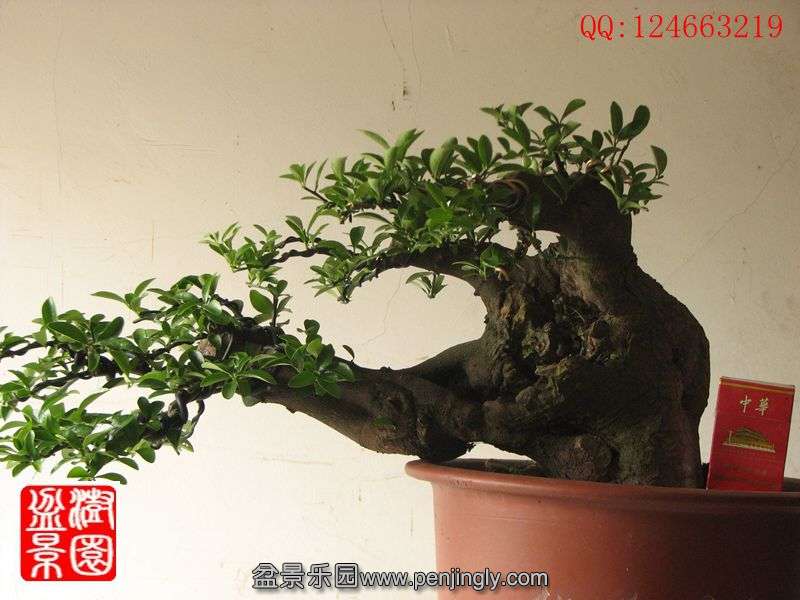 IMG_1399_副本.jpg