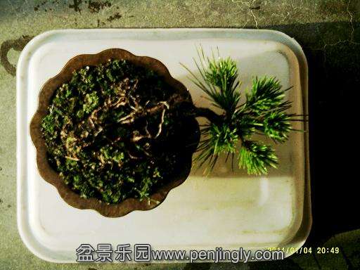 DSCF0010_conew2.JPG