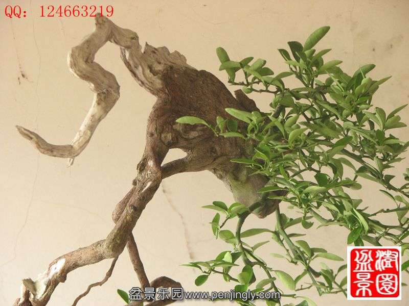 IMG_1427_副本.jpg