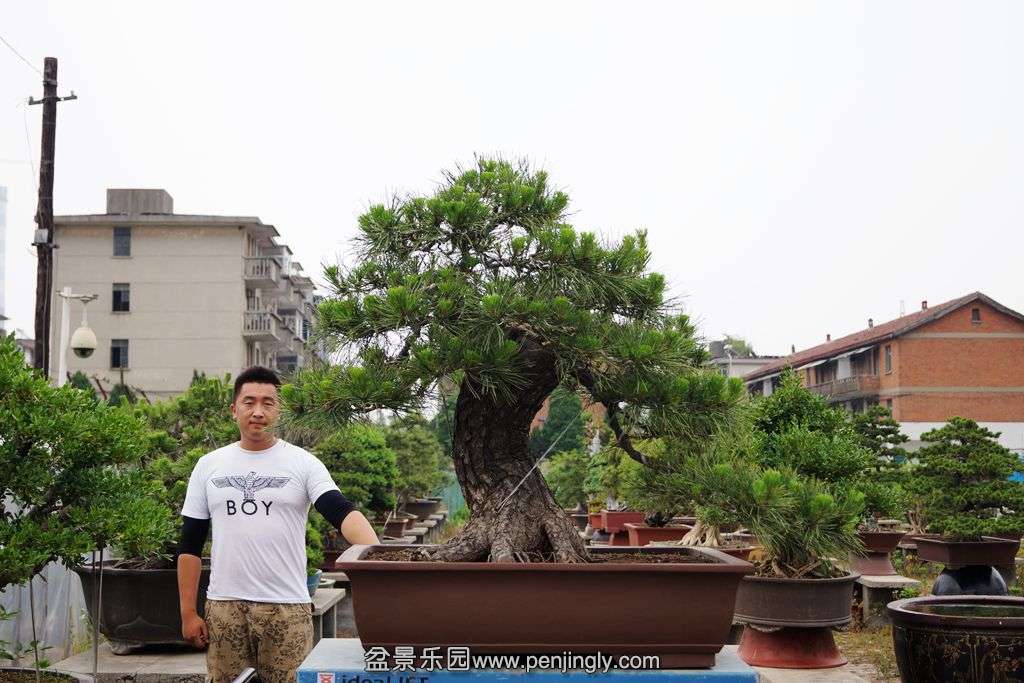 220.jpg