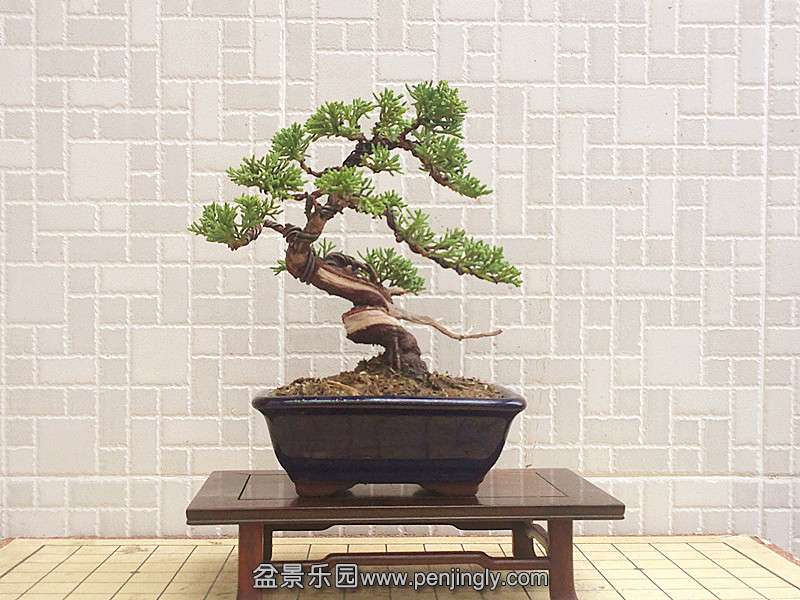 201406011178_.jpg