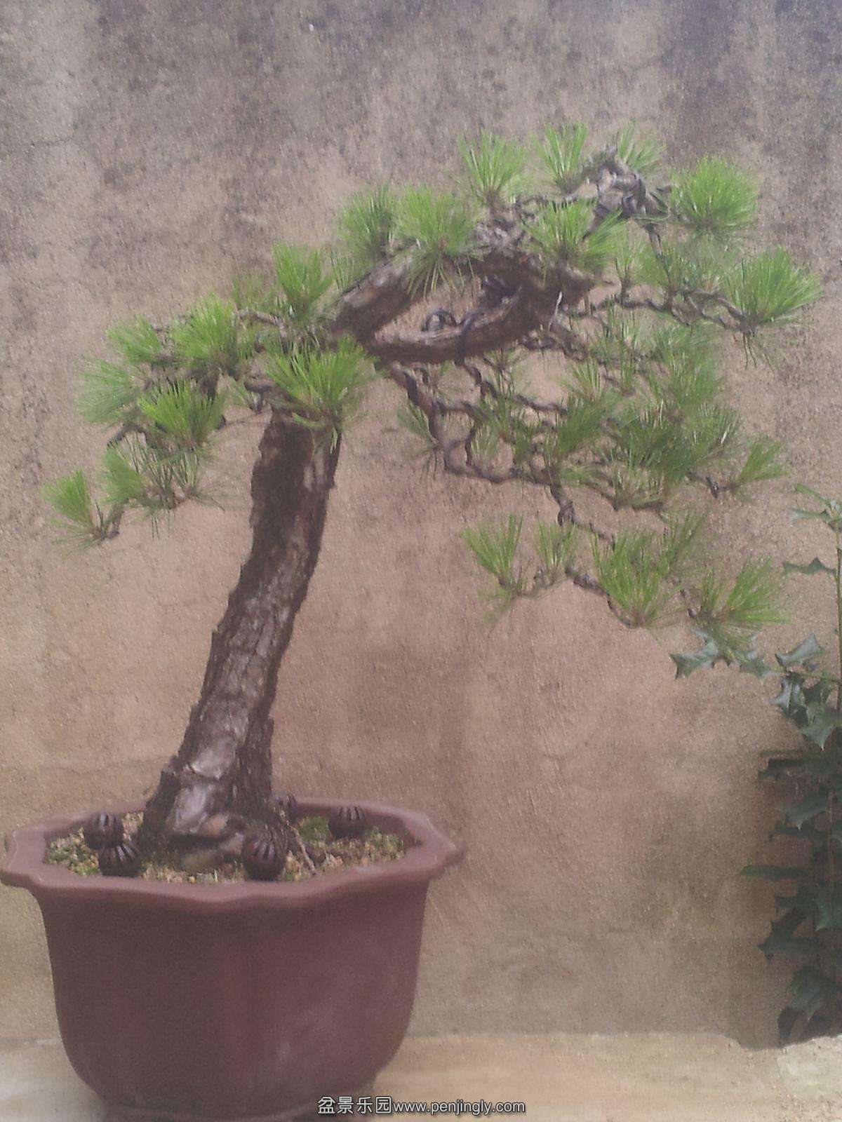 20140517_181004-1.JPG