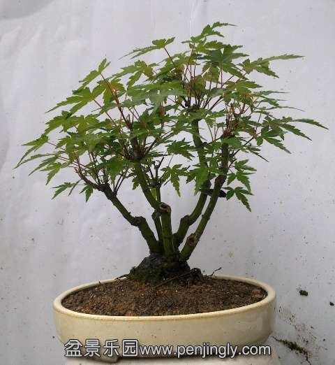 201406023013.jpg