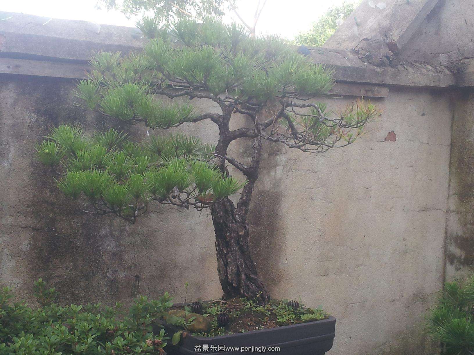 20140601_163809-2.JPG