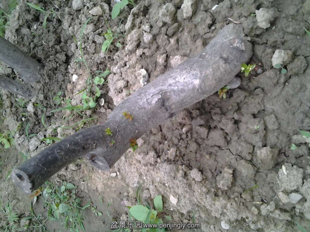20140603_173728.jpg