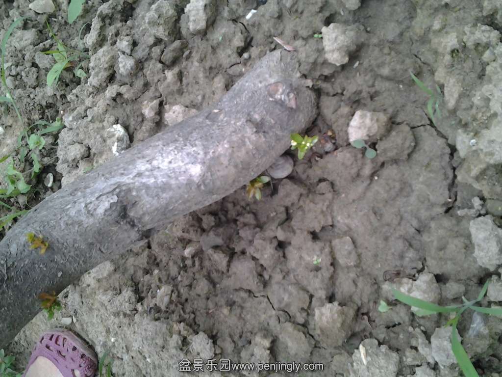 20140603_173756.jpg