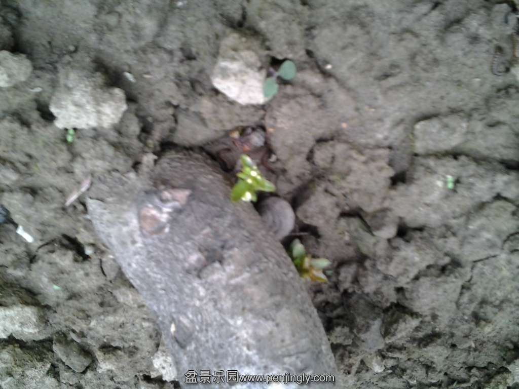 20140603_173747.jpg