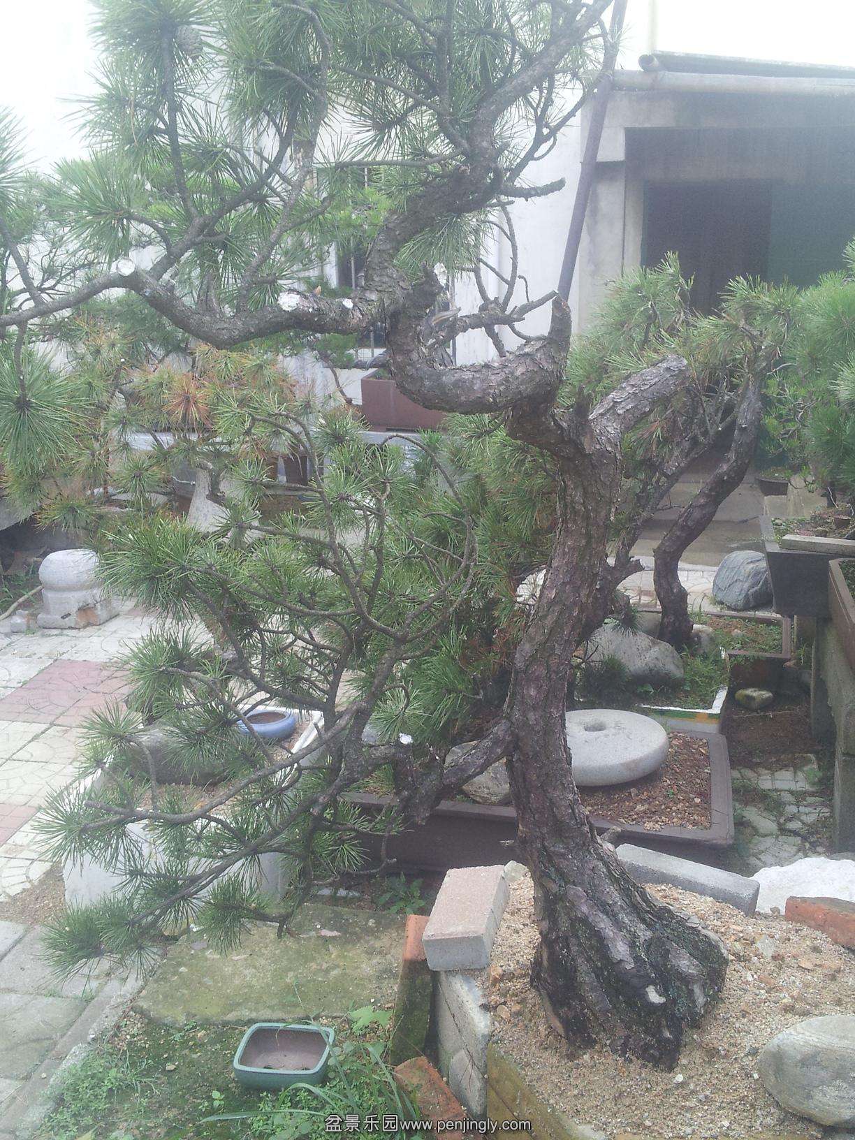 20140601_163742--3.JPG