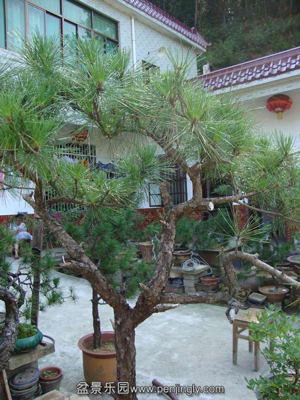 DSC01310_.jpg