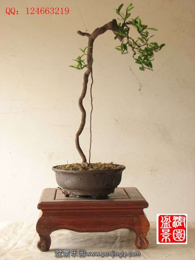 IMG_1572_副本.jpg
