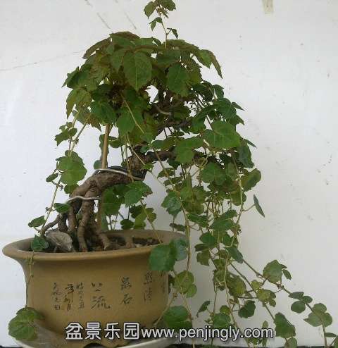 201406073064.jpg