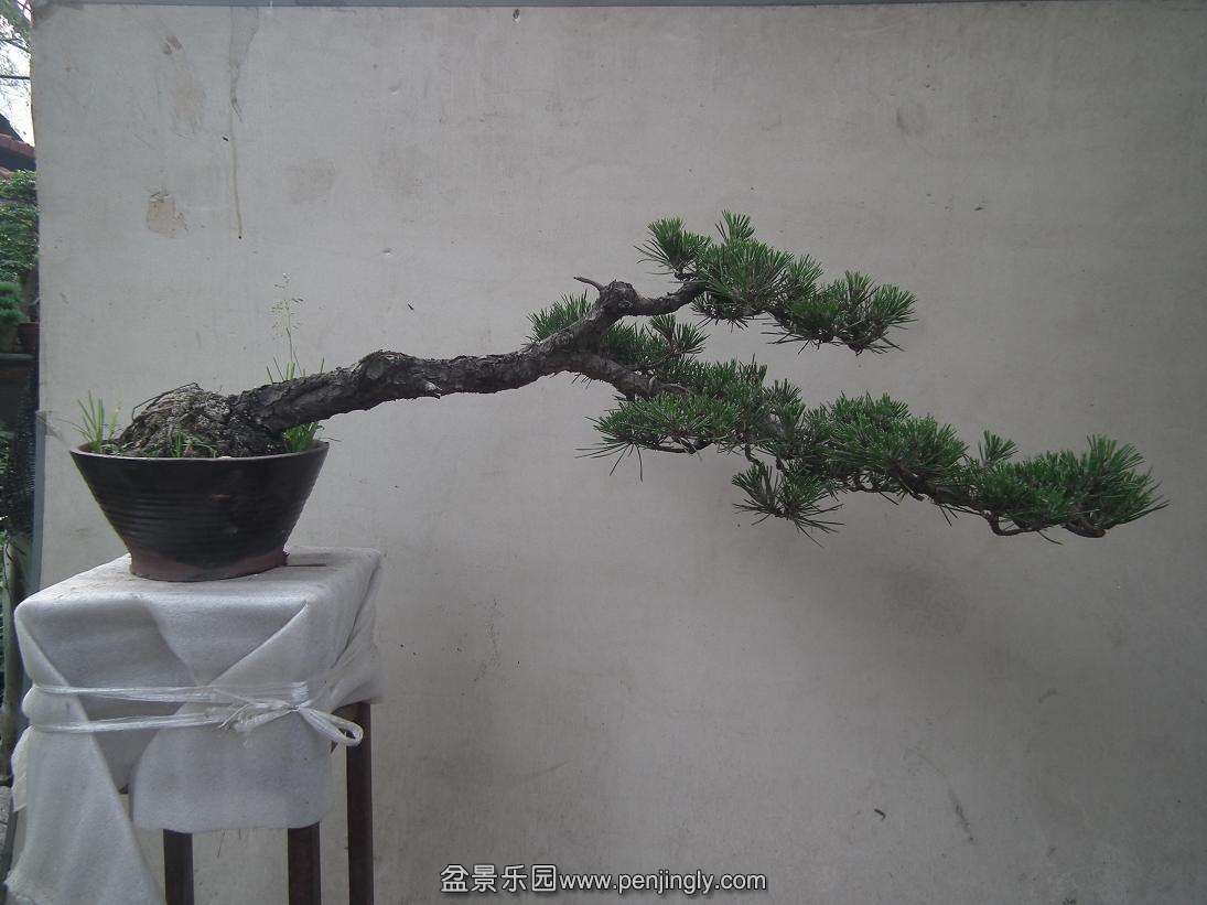 DSCF6886.JPG