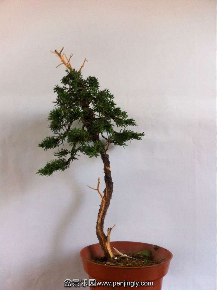 QQ图片20140608095954.jpg