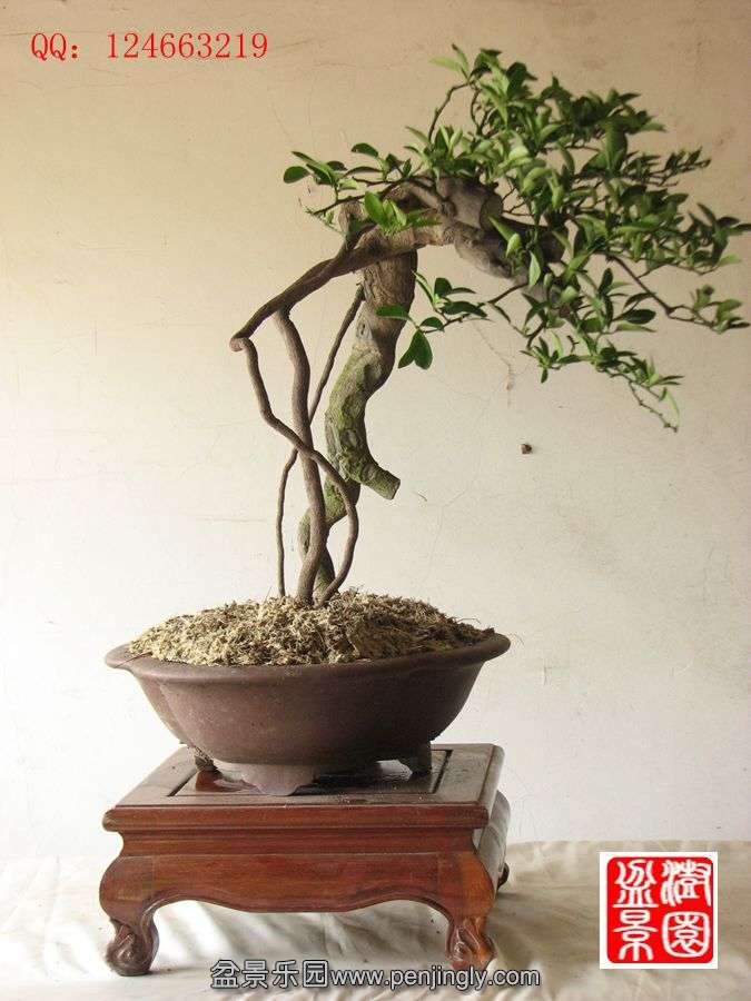 IMG_1614_副本.jpg