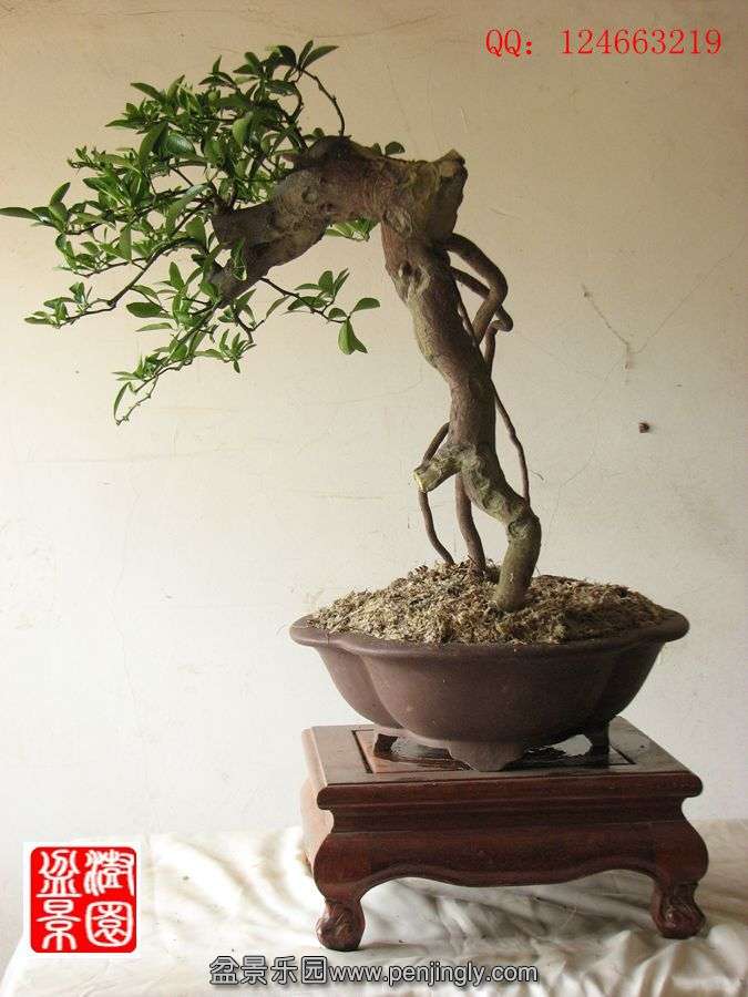 IMG_1616_副本.jpg
