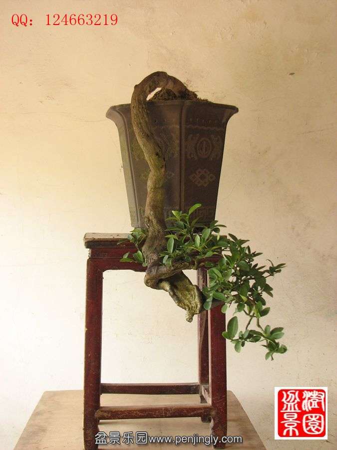 IMG_1626_副本.jpg